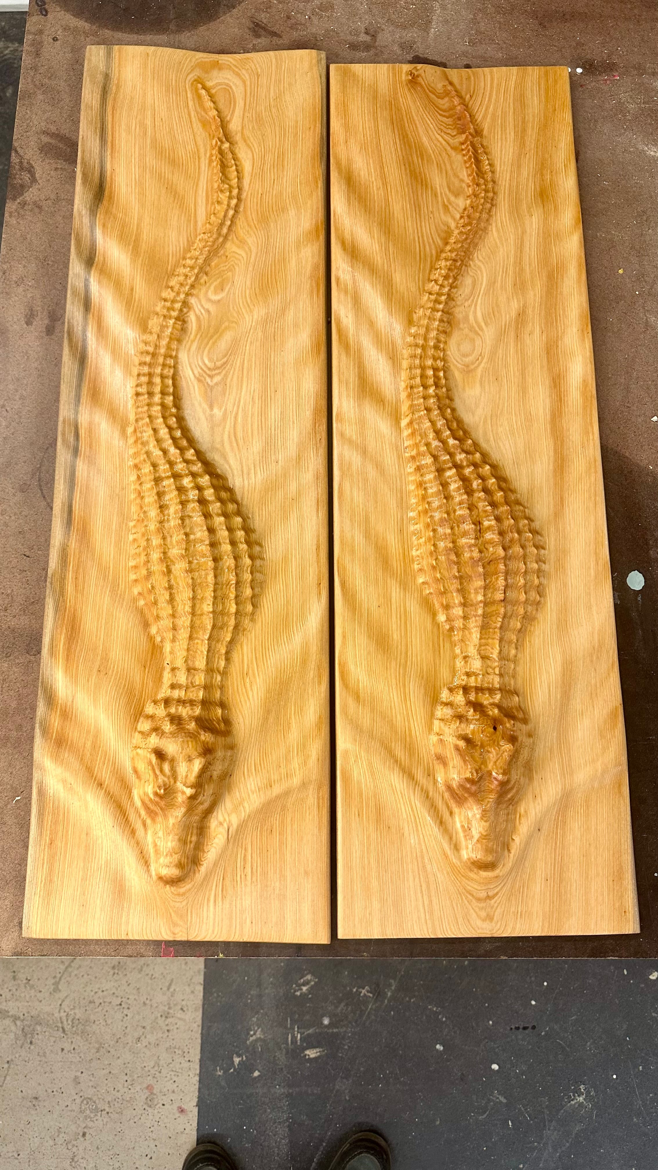 The Gator Collection Boards