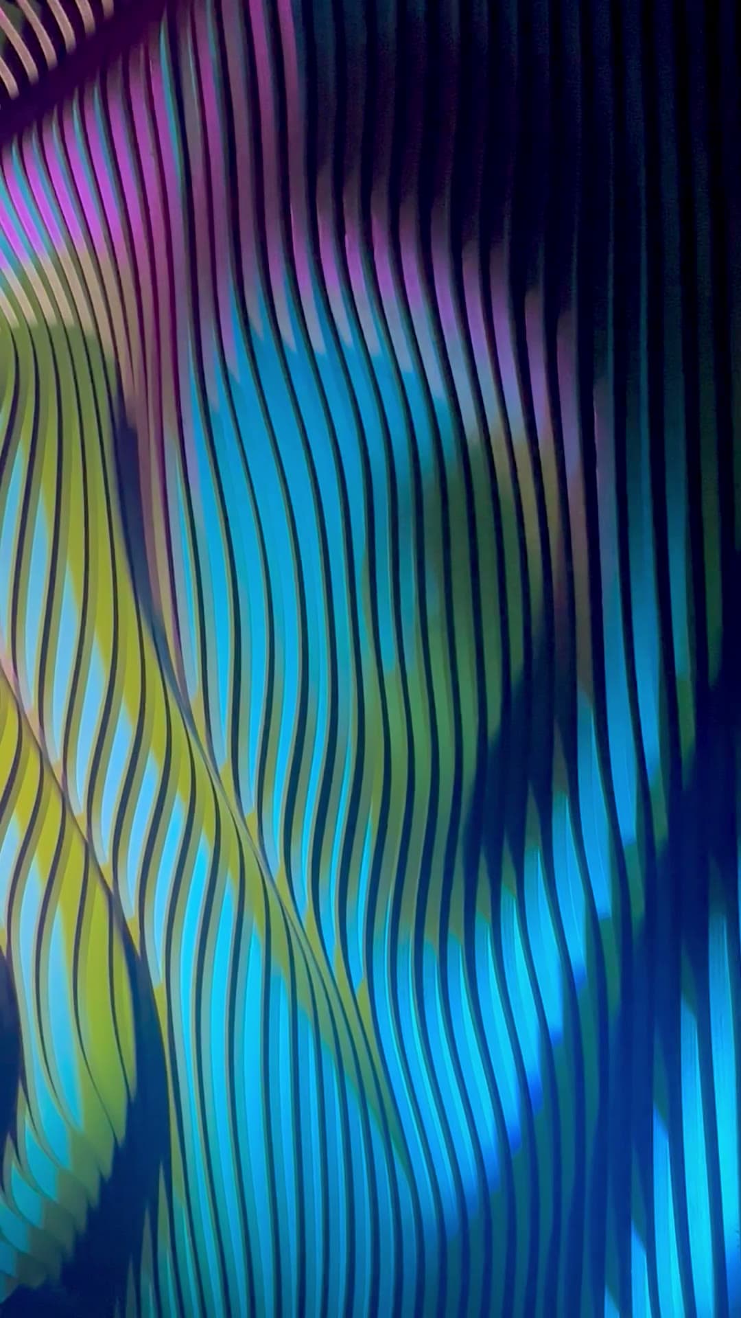 Deep-relief parametric rib wall close-up washed in shifting color