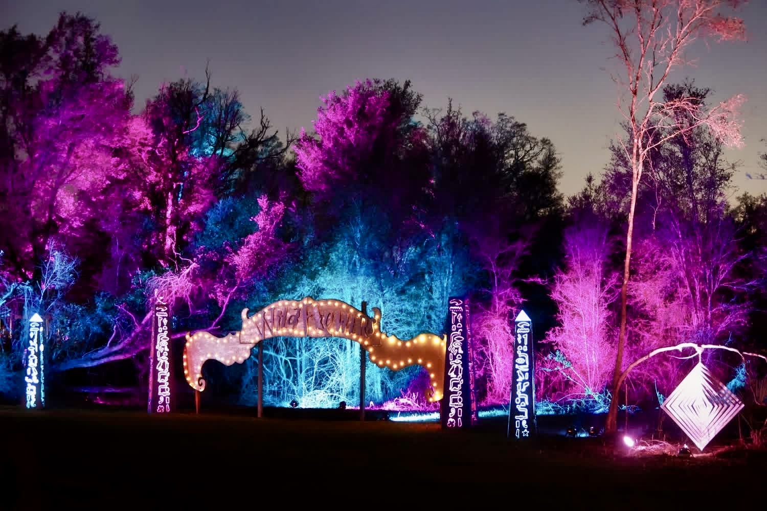 LED uplighting wash and color theming across an outdoor event